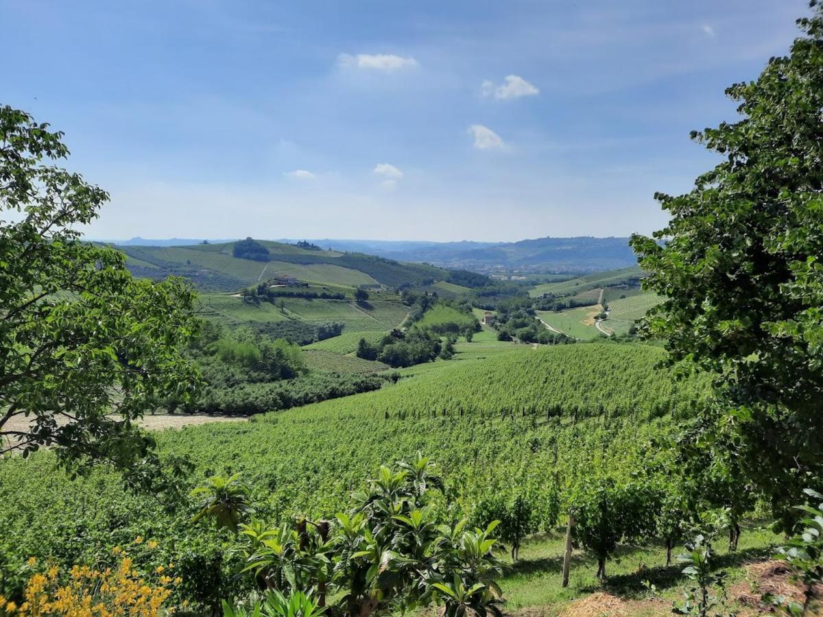 Ca Trifolera Barbaresco - Romantico Cascinale Con Antica Cantina Nel Cuore Delle Langhe - Degustazione Vini Nella Nostra Cantina Zewnętrze zdjęcie