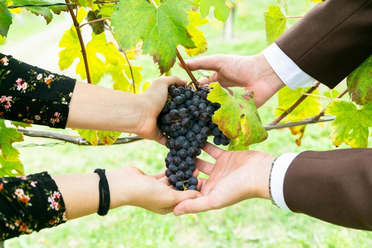 Ca Trifolera Barbaresco - Romantico Cascinale Con Antica Cantina Nel Cuore Delle Langhe - Degustazione Vini Nella Nostra Cantina Zewnętrze zdjęcie