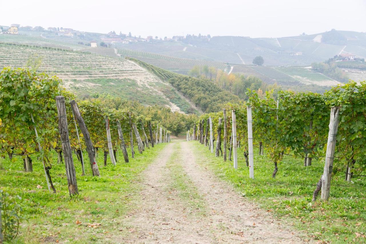 Ca Trifolera Barbaresco - Romantico Cascinale Con Antica Cantina Nel Cuore Delle Langhe - Degustazione Vini Nella Nostra Cantina Zewnętrze zdjęcie