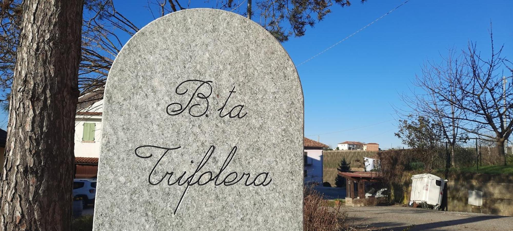 Ca Trifolera Barbaresco - Romantico Cascinale Con Antica Cantina Nel Cuore Delle Langhe - Degustazione Vini Nella Nostra Cantina Zewnętrze zdjęcie