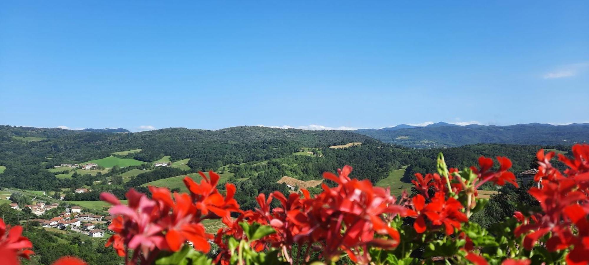 Ca Trifolera Barbaresco - Romantico Cascinale Con Antica Cantina Nel Cuore Delle Langhe - Degustazione Vini Nella Nostra Cantina Zewnętrze zdjęcie
