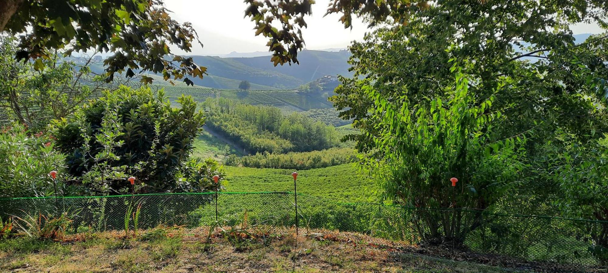 Ca Trifolera Barbaresco - Romantico Cascinale Con Antica Cantina Nel Cuore Delle Langhe - Degustazione Vini Nella Nostra Cantina Zewnętrze zdjęcie