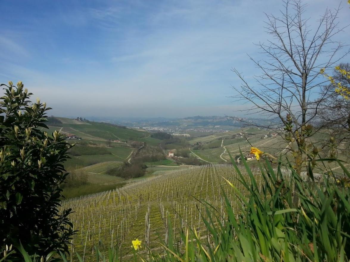Ca Trifolera Barbaresco - Romantico Cascinale Con Antica Cantina Nel Cuore Delle Langhe - Degustazione Vini Nella Nostra Cantina Zewnętrze zdjęcie