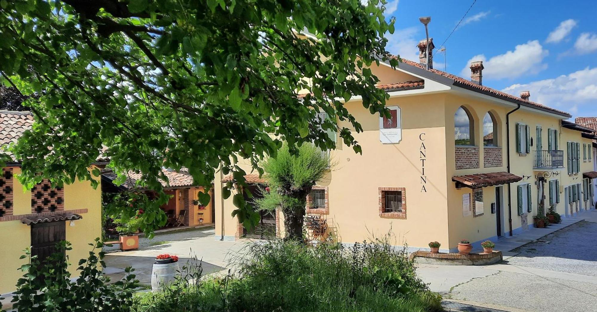 Ca Trifolera Barbaresco - Romantico Cascinale Con Antica Cantina Nel Cuore Delle Langhe - Degustazione Vini Nella Nostra Cantina Zewnętrze zdjęcie