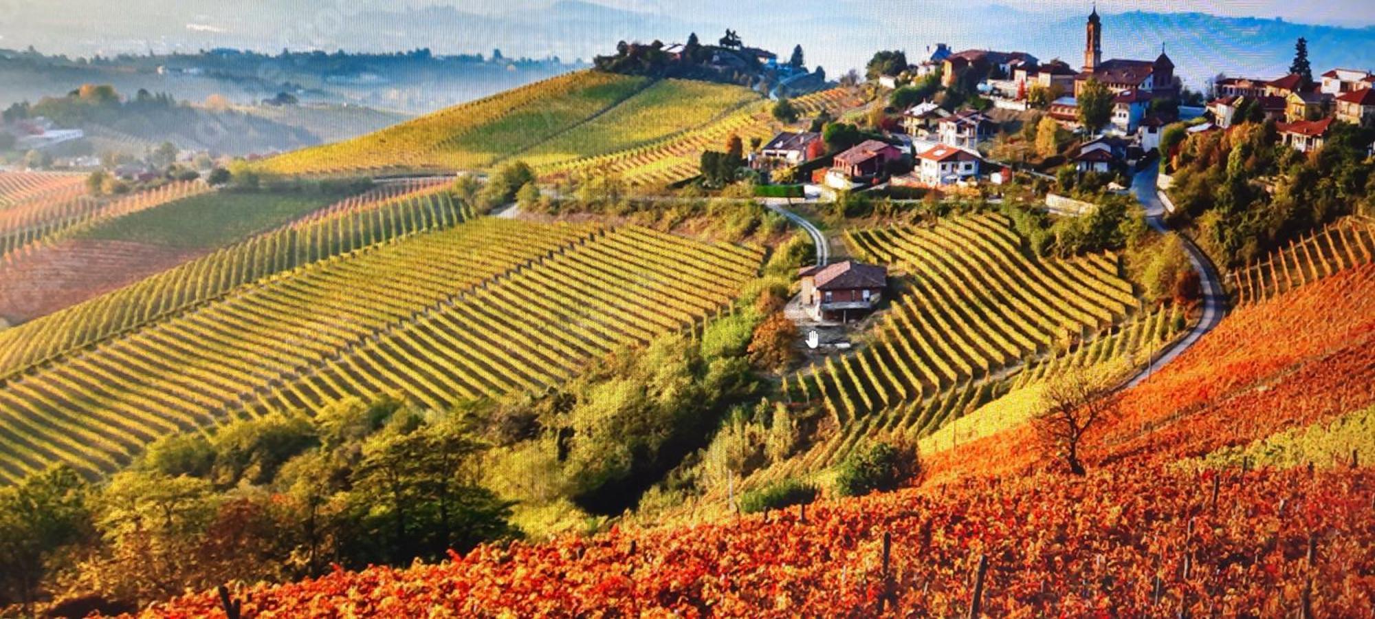 Ca Trifolera Barbaresco - Romantico Cascinale Con Antica Cantina Nel Cuore Delle Langhe - Degustazione Vini Nella Nostra Cantina Zewnętrze zdjęcie