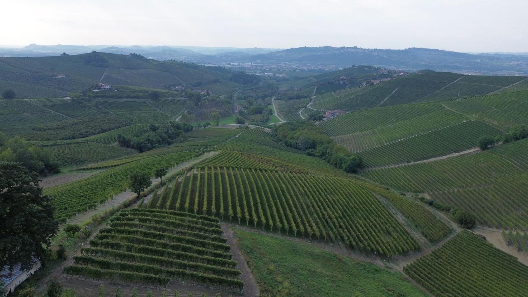Ca Trifolera Barbaresco - Romantico Cascinale Con Antica Cantina Nel Cuore Delle Langhe - Degustazione Vini Nella Nostra Cantina Zewnętrze zdjęcie